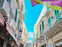 Monopoli