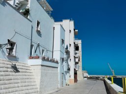 Monopoli