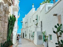 Monopoli