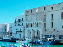Monopoli